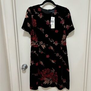 French Connection Velvet Floral Dress